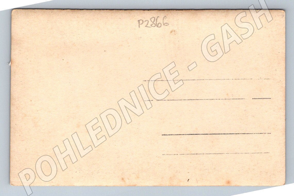 Pohlednice skupina mužů v lese (P2866)