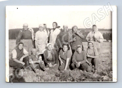 Stará fotografie skupina žen v poli (P2867)