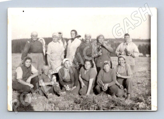 Stará fotografie skupina žen v poli (P2867)