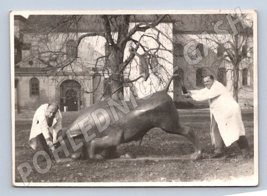 Stará fotografie dva muži v pláštích s býčí sochou (P2883)