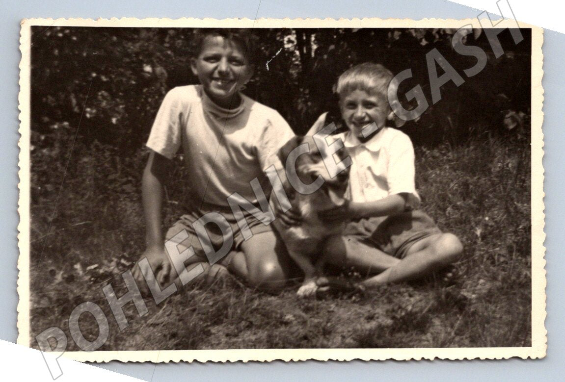 Stará fotografie dva chlapci a pes v trávě (P2900)