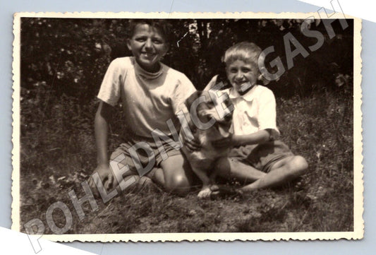 Stará fotografie dva chlapci a pes v trávě (P2900)