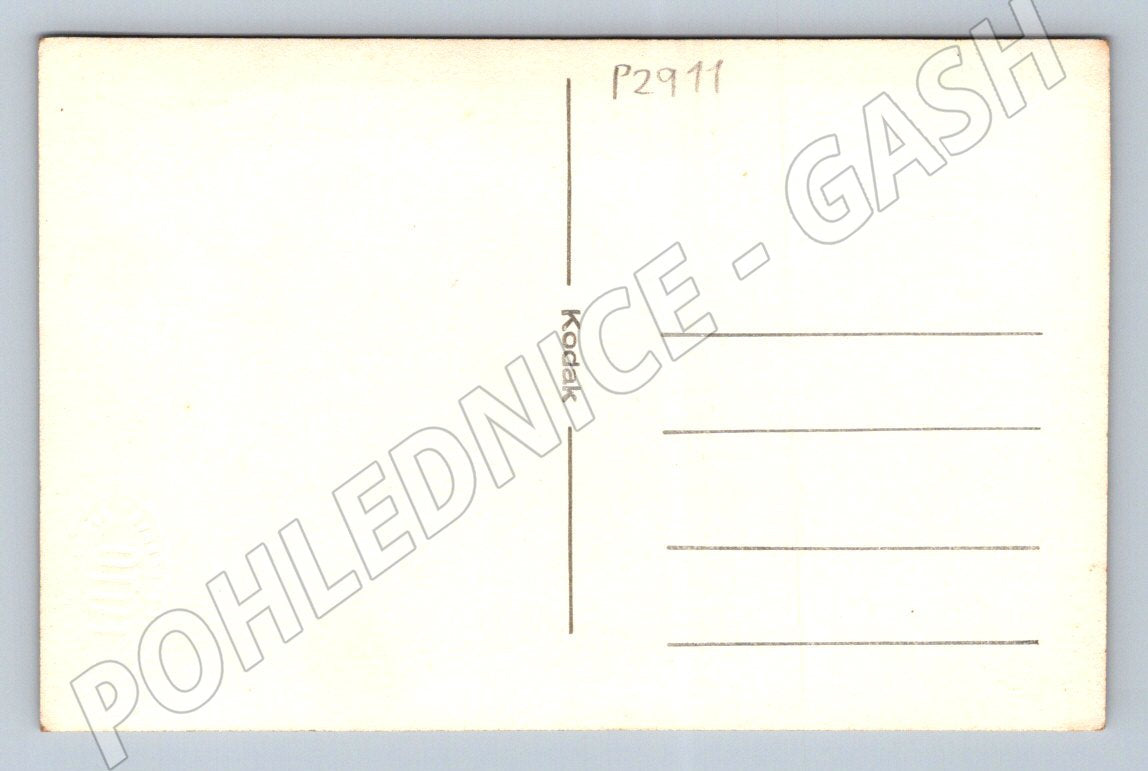 Pohlednice děti, chlapec a dívka, s kyticí (P2911)