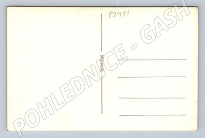 Pohlednice děti, chlapec a dívka, s kyticí (P2911)