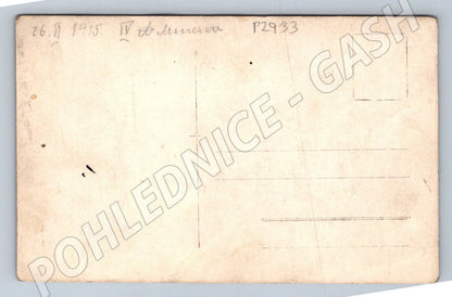 Pohlednice skupina mladých lidí pod stromem 1915 (P2933)