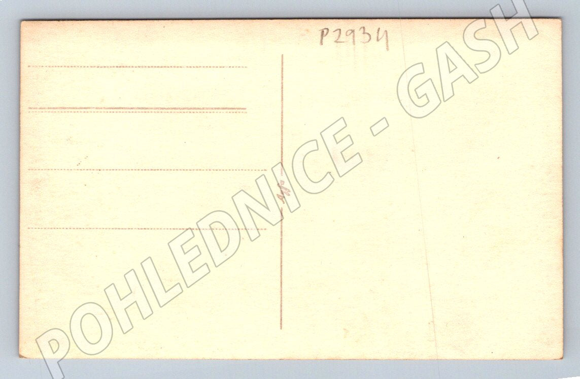 Pohlednice Portrét páru (P2934)
