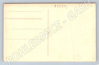 Pohlednice Portrét páru (P2934)
