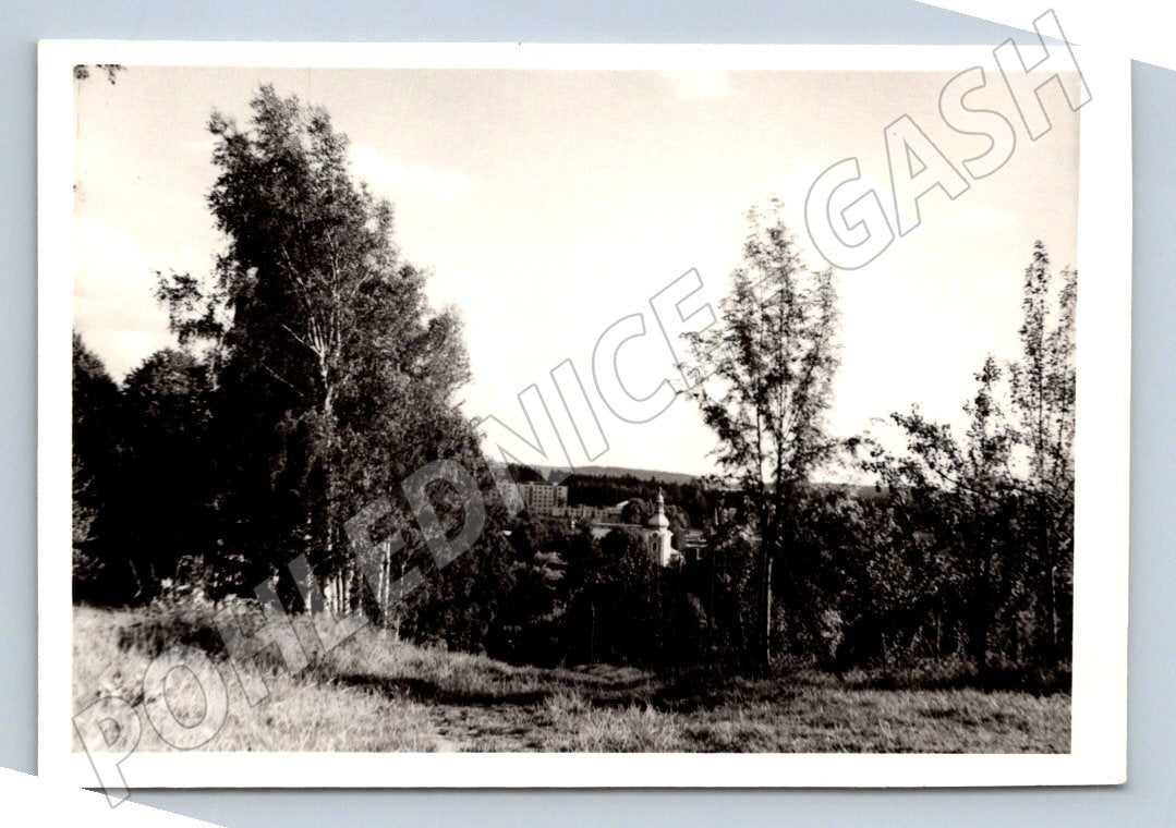 Stará fotografie krajina stromy a budovy (P2935)
