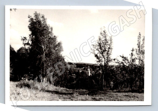 Stará fotografie krajina stromy a budovy (P2935)