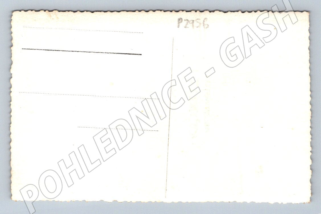 Pohlednice Portrét mladého muže (P2956)