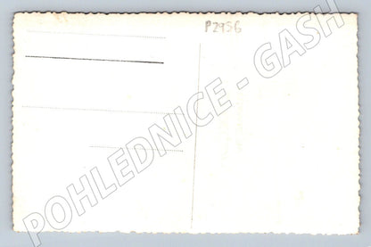 Pohlednice Portrét mladého muže (P2956)