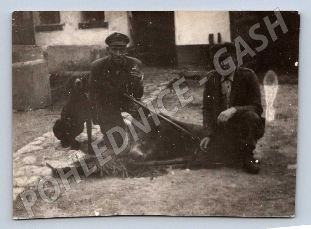 Stará fotografie lovci se psem a uloveným zvířetem (P2961)