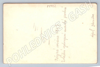 Stará fotografie tělesné cvičení vystoupení 1947 (P2982)