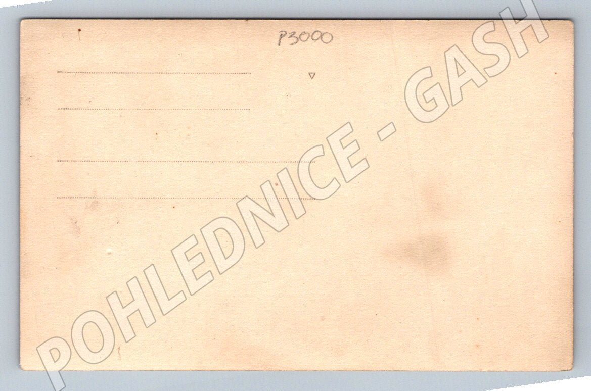 Pohlednice skupina rodina les (P3000)