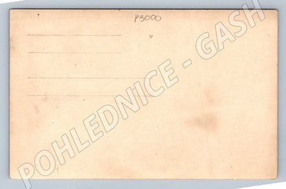 Pohlednice skupina rodina les (P3000)
