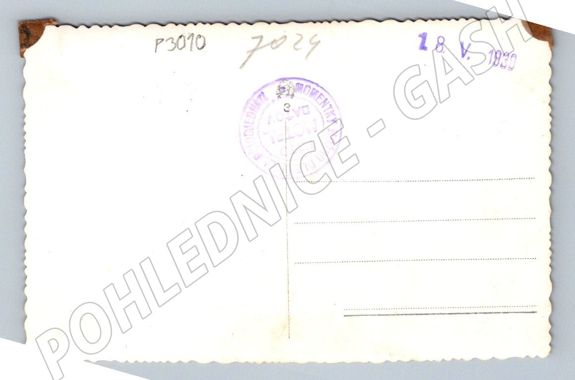 Pohlednice chlapec s holí 1930 (P3010)