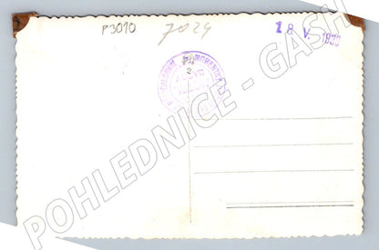 Pohlednice chlapec s holí 1930 (P3010)