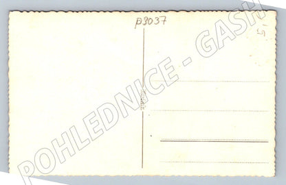 Pohlednice svatební pár ateliér (P3037)