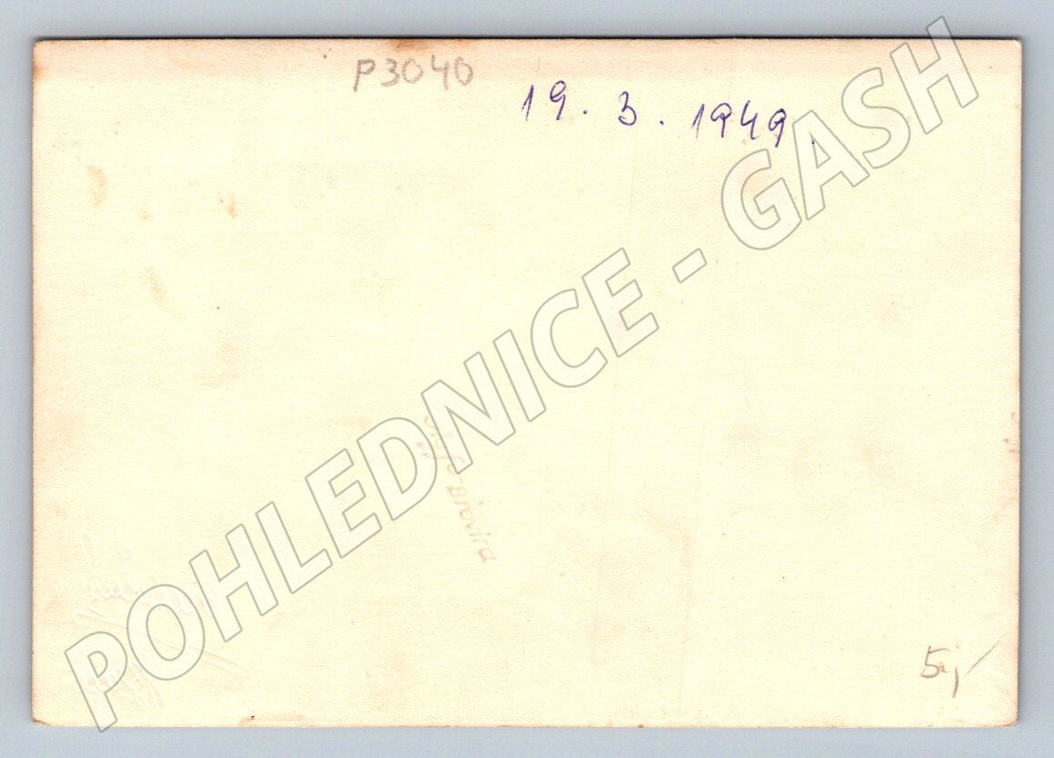 Stará fotografie žena v dlouhých šatech portrét 1949 (P3040)