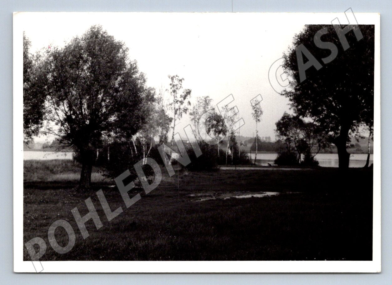 Stará fotografie krajina s vodou a stromy 1967 (P3051)