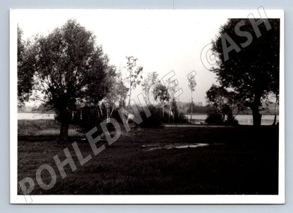 Stará fotografie krajina s vodou a stromy 1967 (P3051)