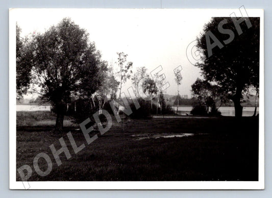 Stará fotografie krajina s vodou a stromy 1967 (P3051)