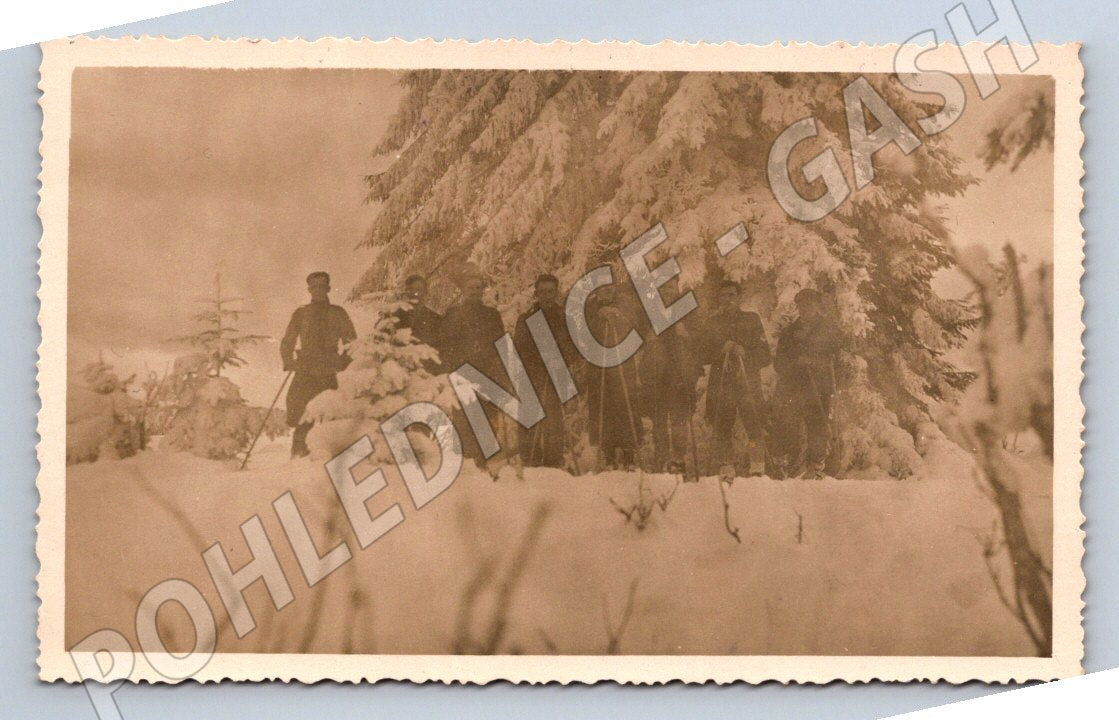 Pohlednice skupina muzu s lyzemi v zasnezene krajine (P3055)