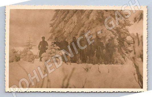 Pohlednice skupina muzu s lyzemi v zasnezene krajine (P3055)