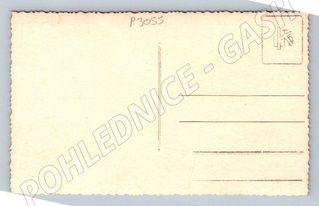 Pohlednice skupina muzu s lyzemi v zasnezene krajine (P3055)