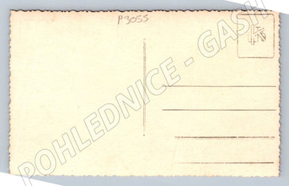 Pohlednice skupina muzu s lyzemi v zasnezene krajine (P3055)