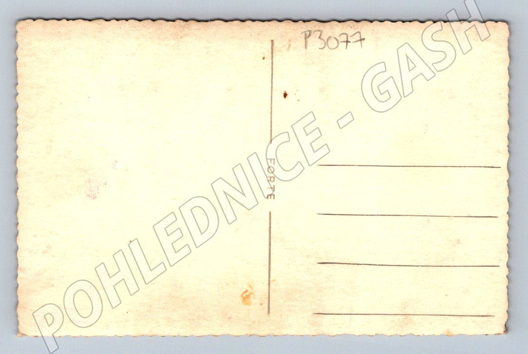 Pohlednice dva muži portrét (P3077)
