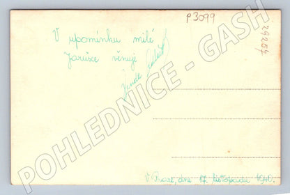 Pohlednice Portrét mladého muže 1940 (P3099)