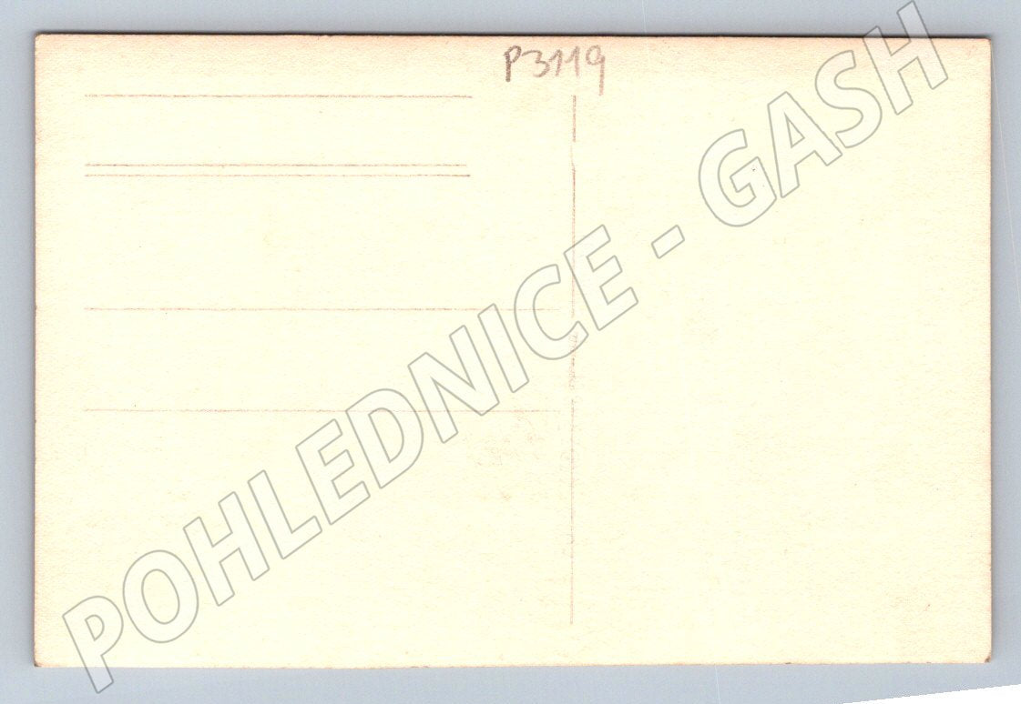 Pohlednice portrét mladé ženy (P3119)