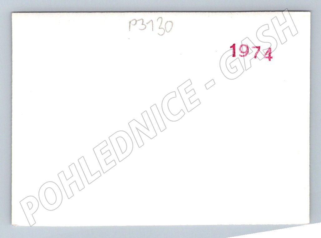 Stará fotografie krajina břízy rybník lavička 1974 (P3130)
