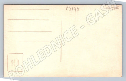 Pohlednice svatební pár ateliérová (P3190)