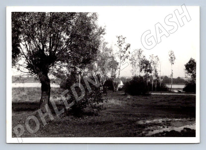 Stará fotografie krajina se stromy a vodou 1987 (P3220)
