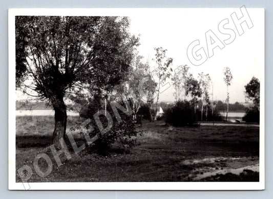 Stará fotografie krajina se stromy a vodou 1987 (P3220)