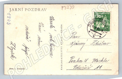 Pohlednice ovce s jehňaty 1963 (P3230)