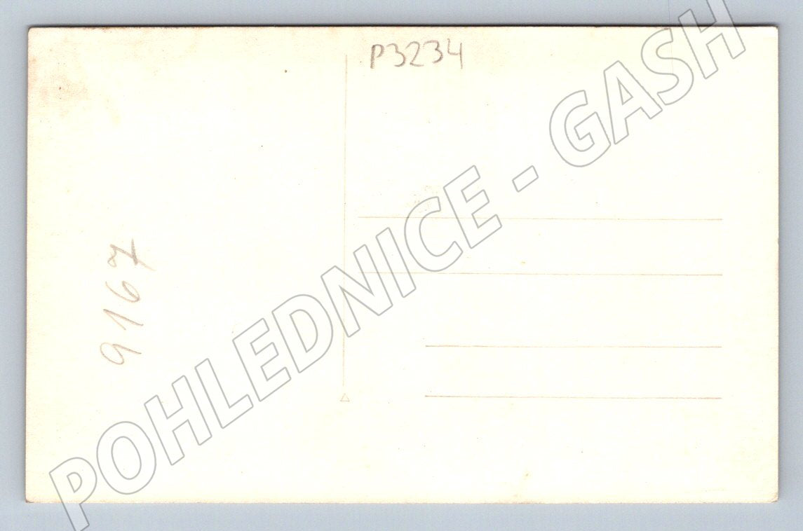 Pohlednice portrét svatebního páru (P3234)