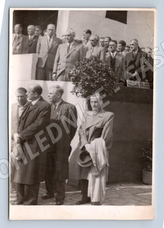 Stará fotografie skupina mužů v oblecích venku (P3275)