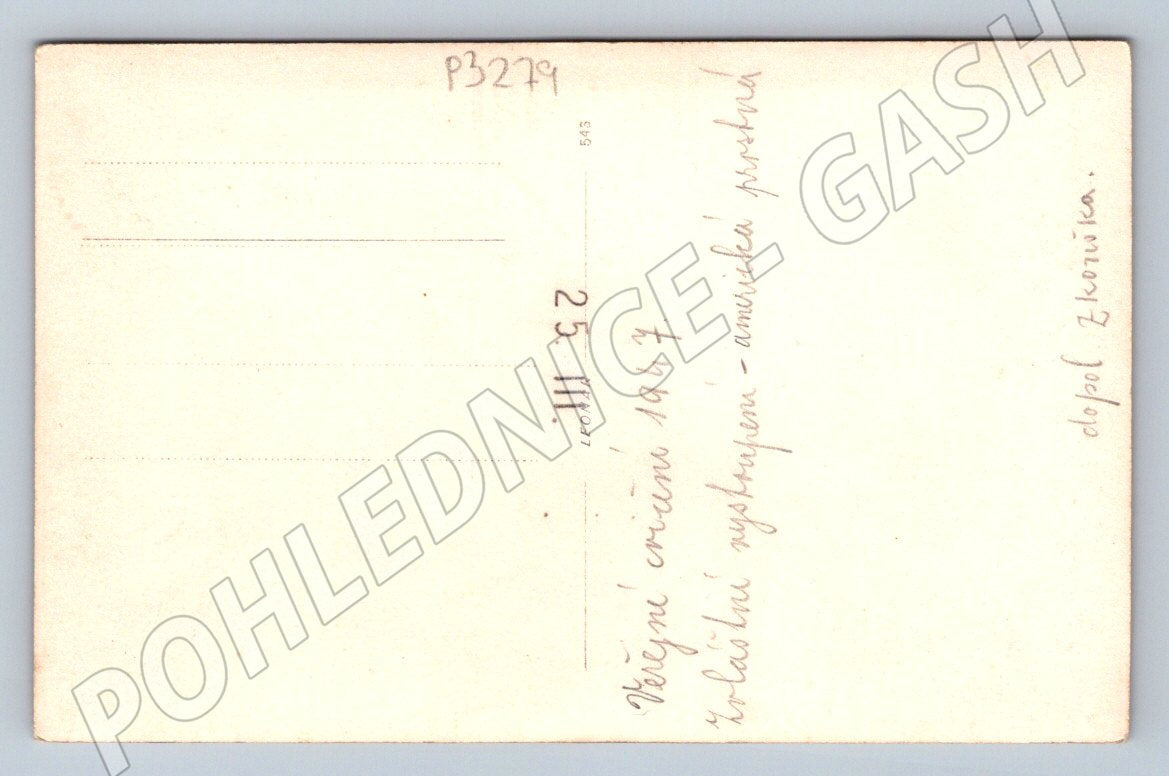 Pohlednice Veřejné cvičení americká prostná 1947 (P3279)
