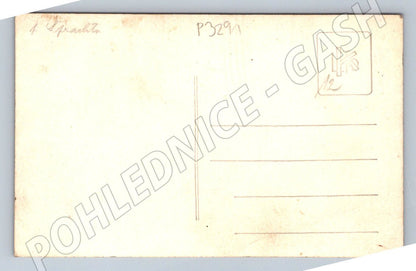 Pohlednice pár muž v uniformě (P3291)