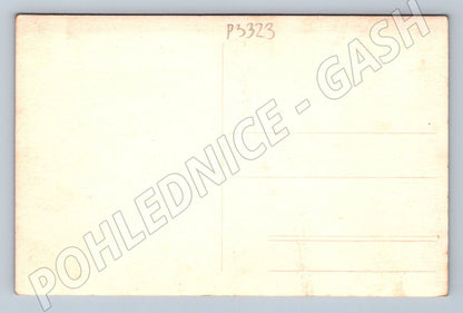 Pohlednice rodinná skupina venku (P3323)