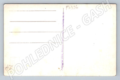 Pohlednice Praha-Vinohrady skupina dívek s košíčky (P3336)
