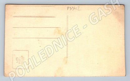 Pohlednice muži s osly (P3342)