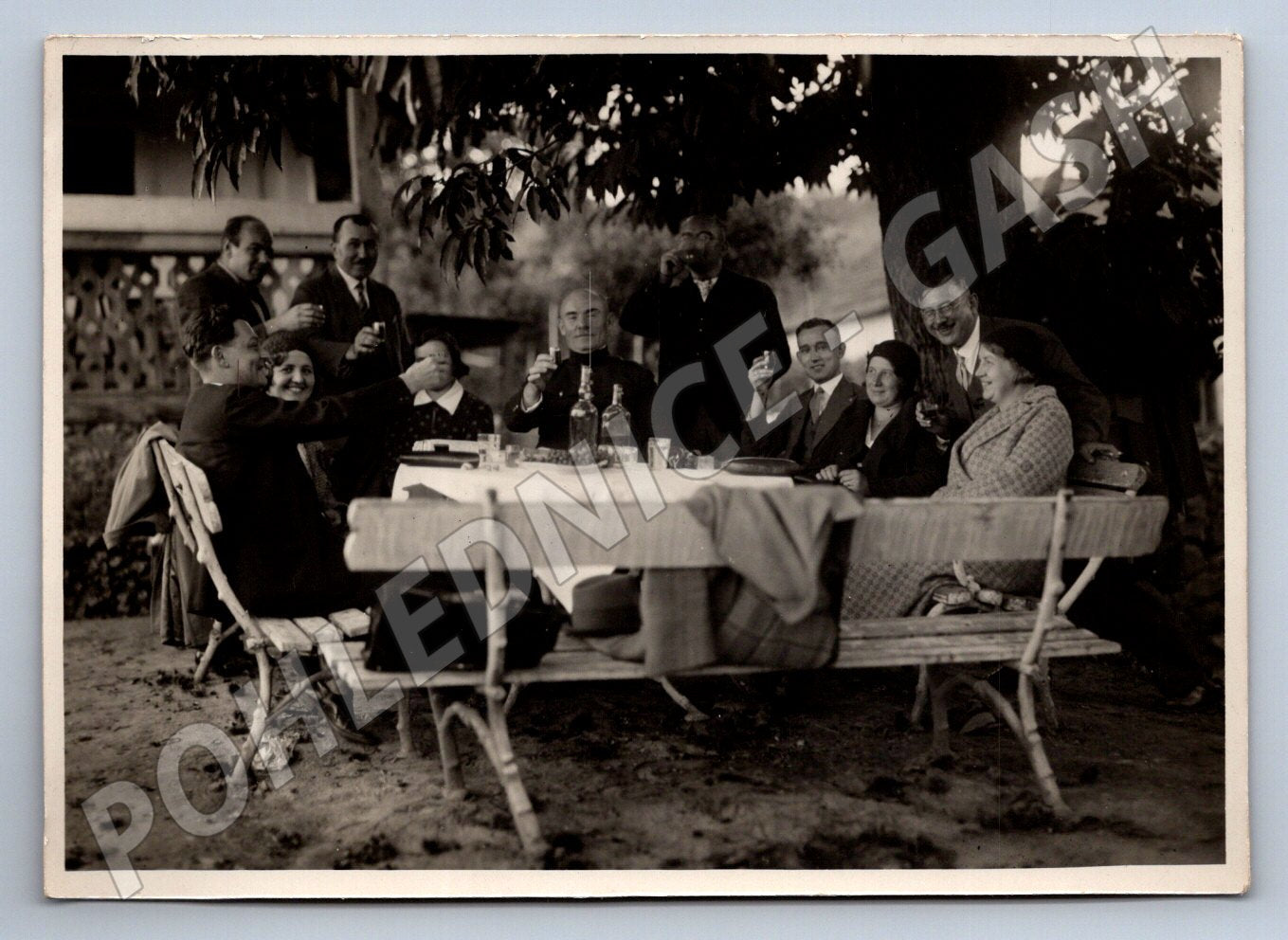Stará fotografie společenské setkání pod stromem (P3350)
