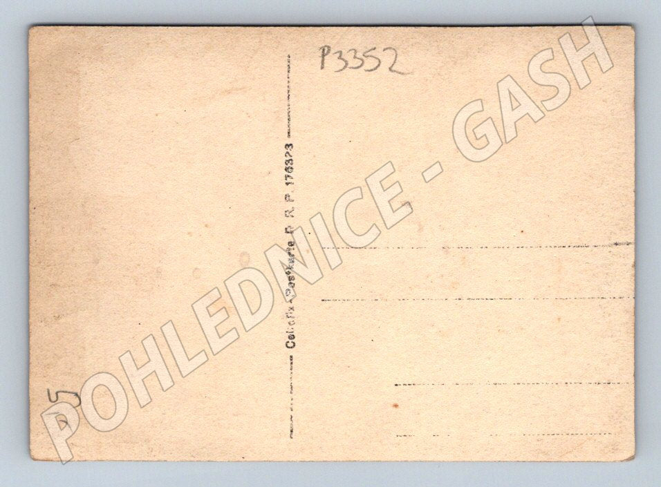Pohlednice Německo Boxeři v přírodě (P3352)