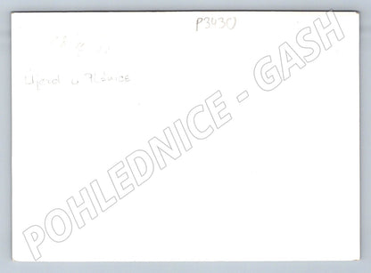 Stará fotografie Ujezd u plónice rodinná skupina (P3430)
