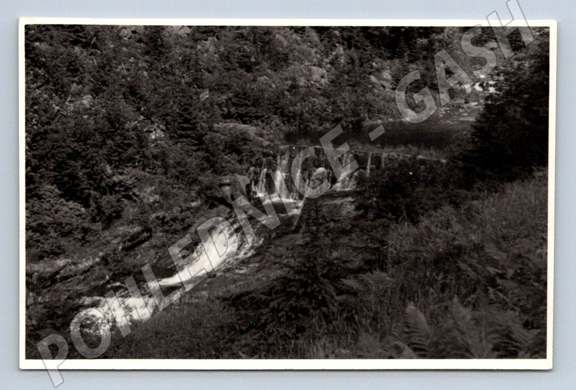 Stará fotografie Bílé Labe vodopád/ jez 1955 (P3435)