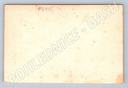 Stará fotografie Pelhřimov třídní koláž 1955 (P3442)